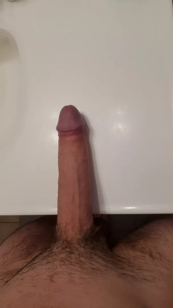 what do yall think?
