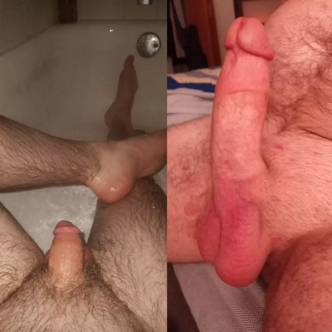 What do yall think?