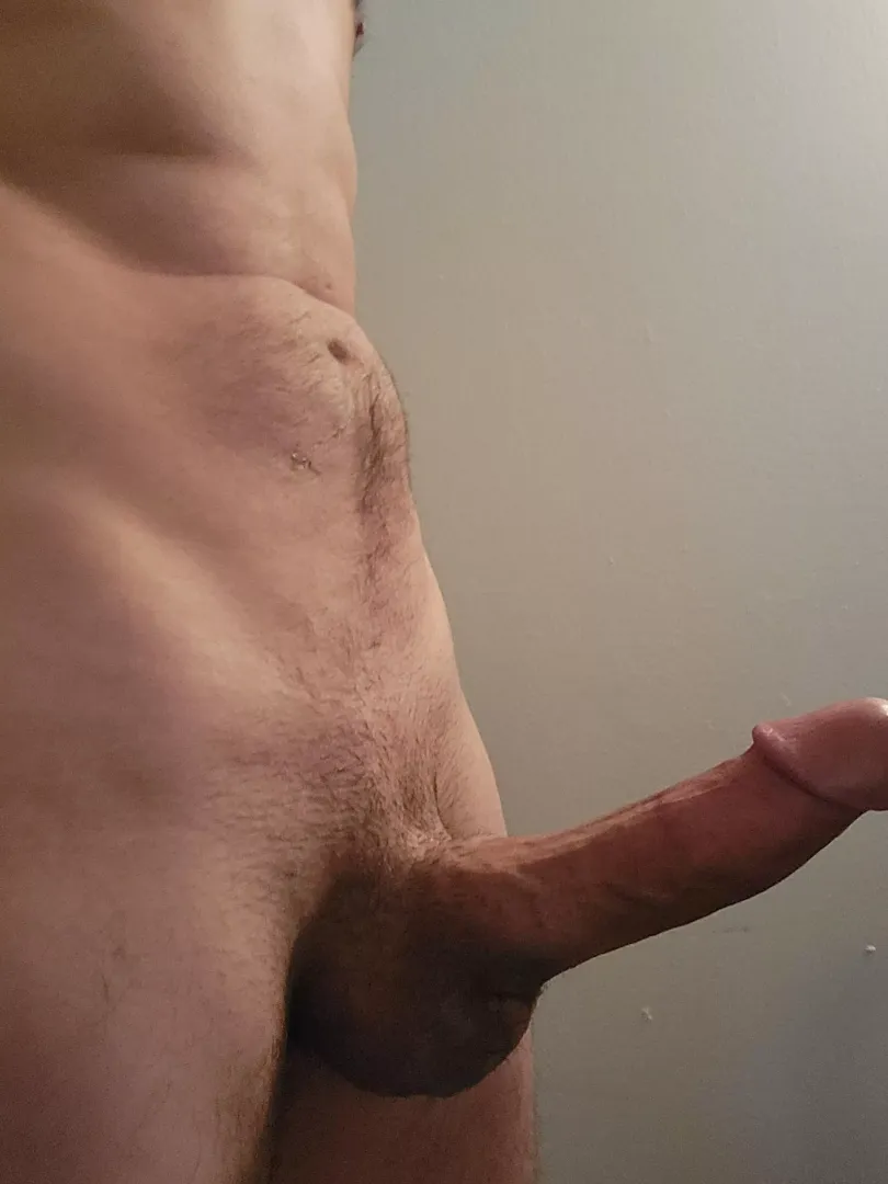 What do you think?