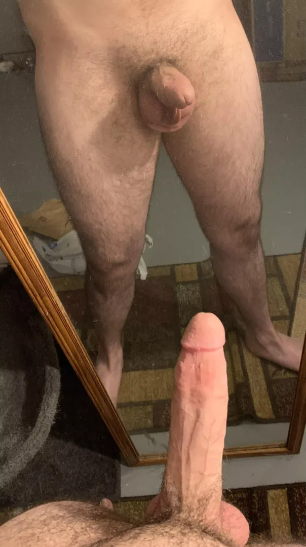 What do you think?