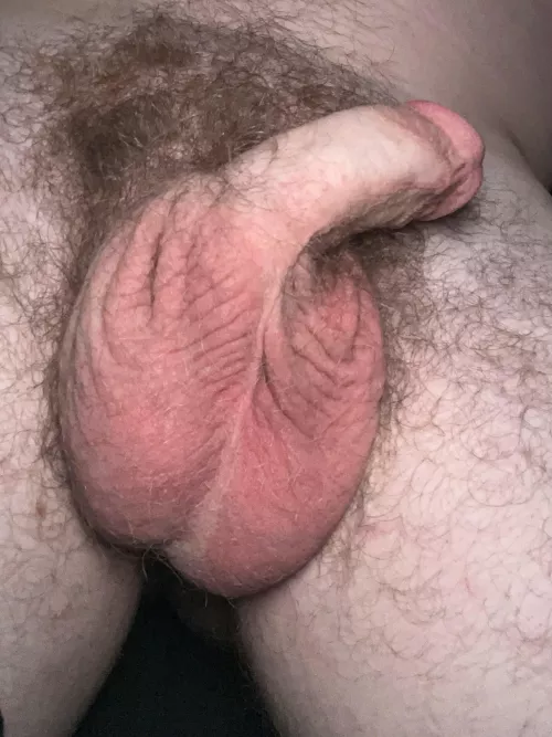 What do you think?