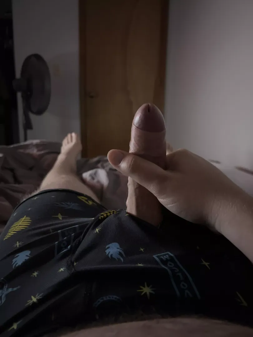 What do you think?