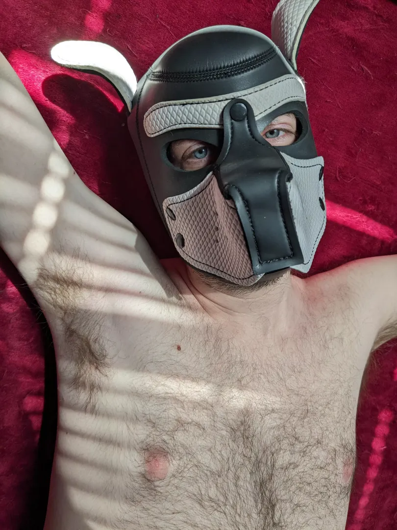 What do you think?