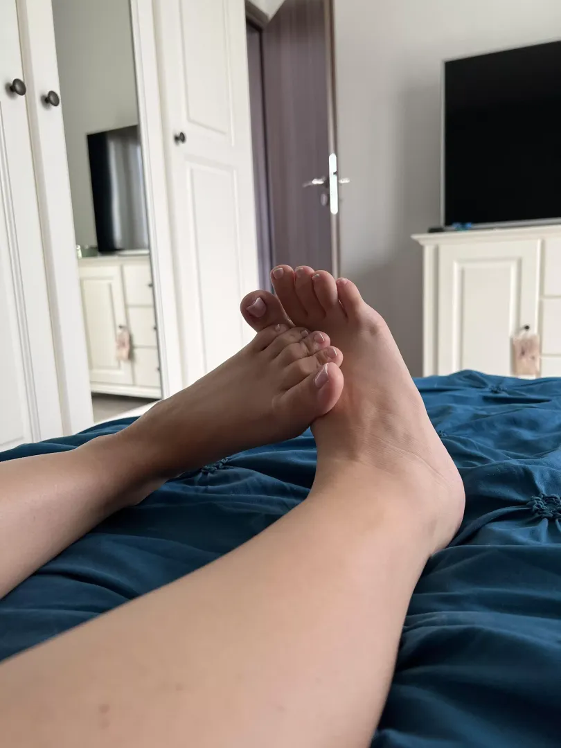 What do you think my innocent legs look like?