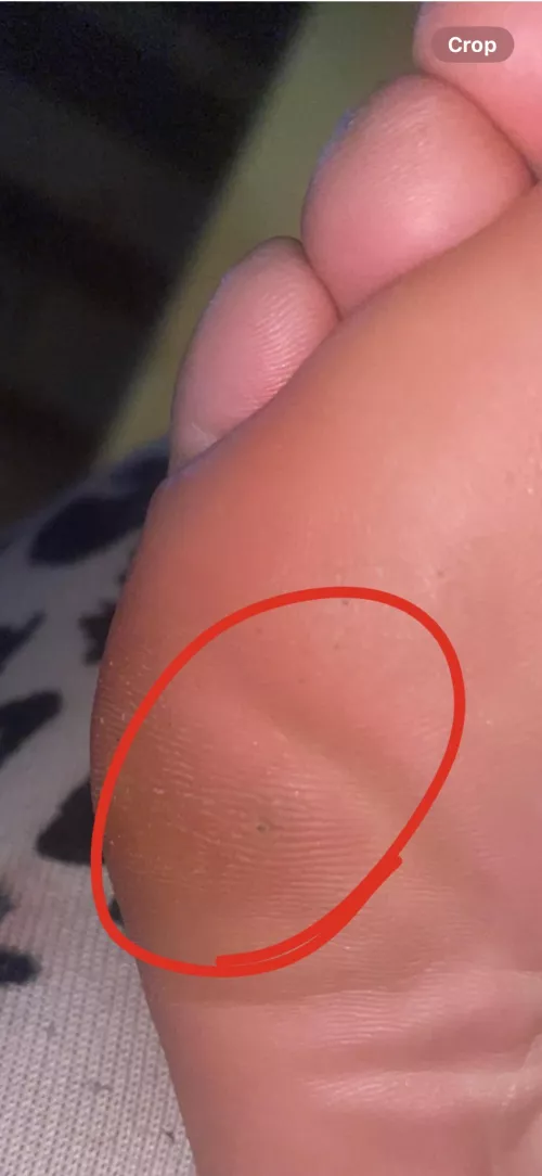 What do you think this is!?!