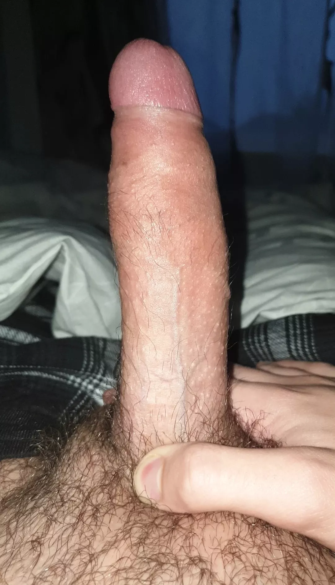 What do you think?