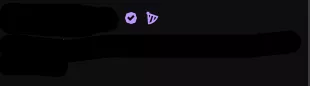What does the icon (looks like a party hat?) next to the partner badge mean? first time seeing it