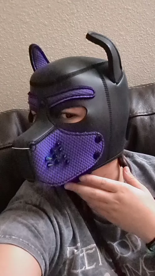 what dog breed do I remind you of?