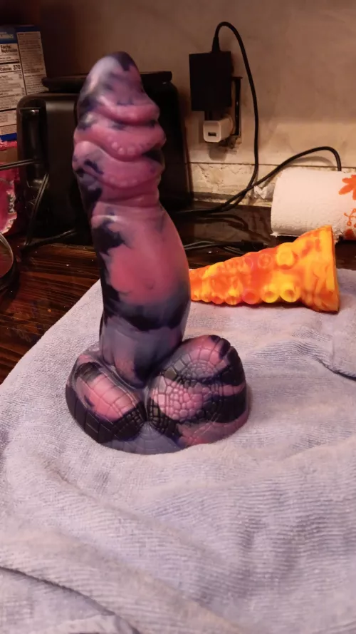 What is this? 