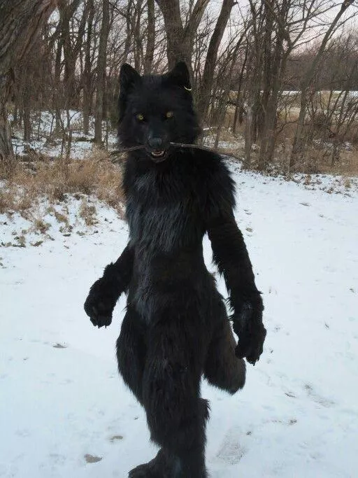what is this called
