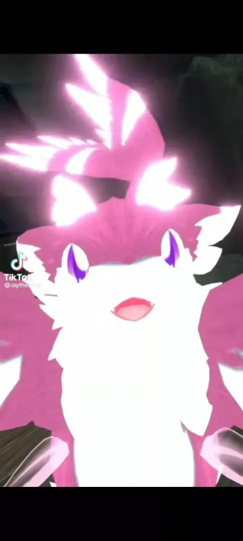 What is this species called? (credit: @jaythefloof on tick tock)