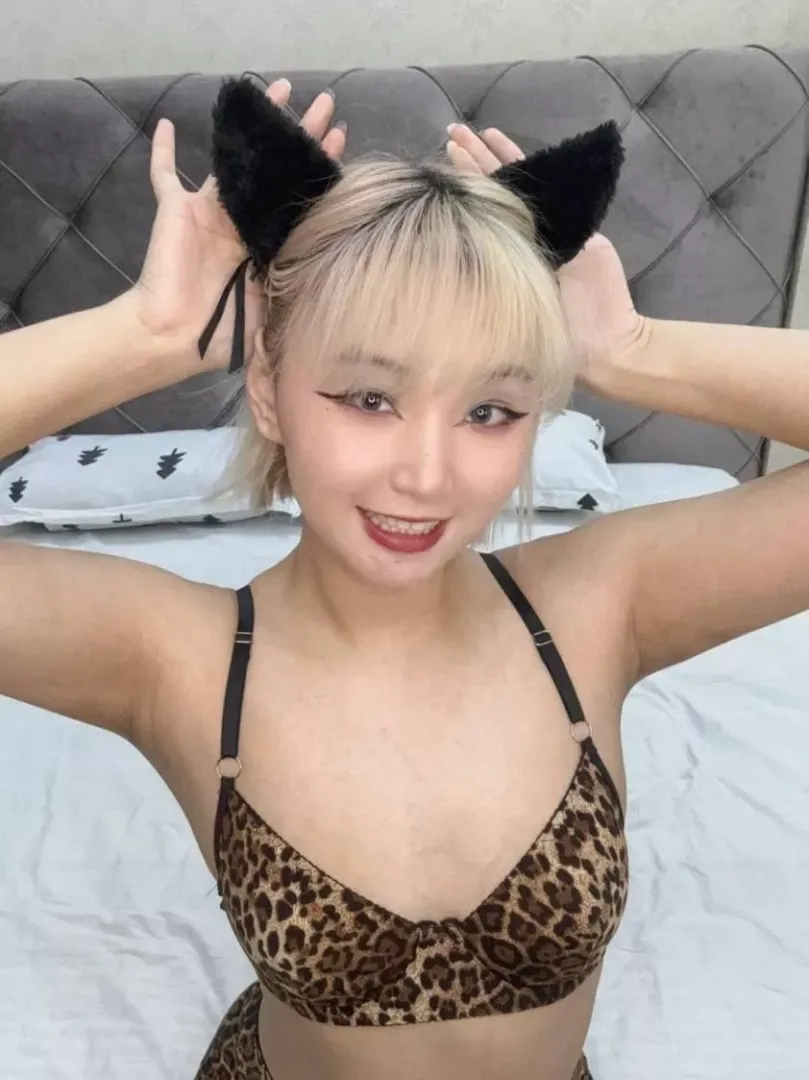 What part of this cute cat's body would you touch first