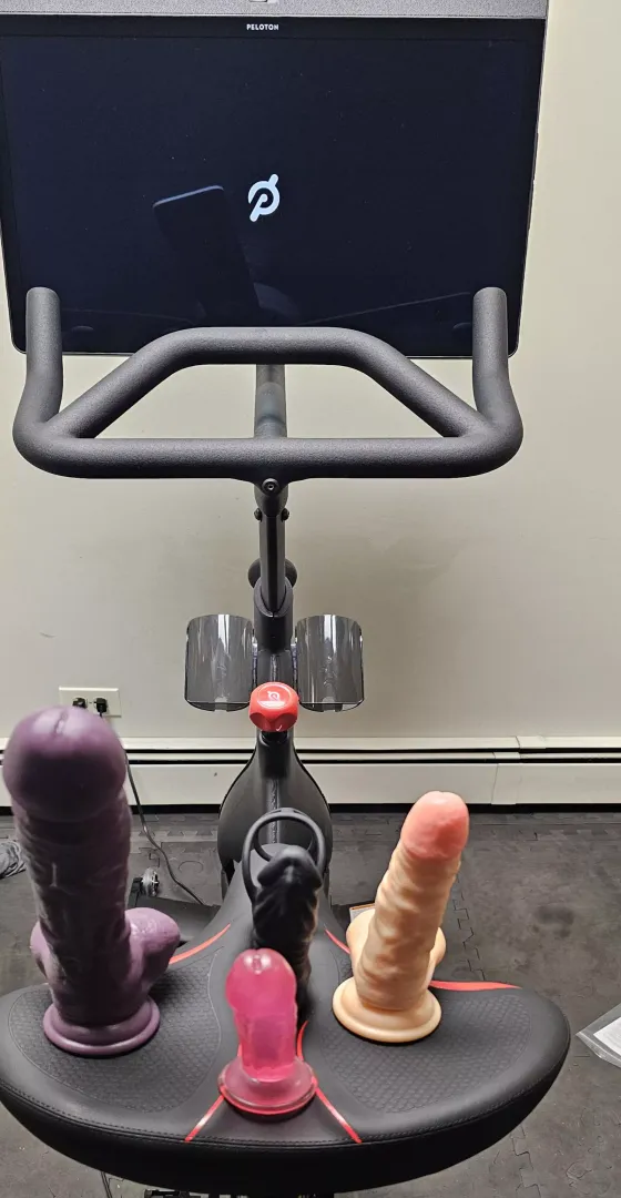 What shall I ride
