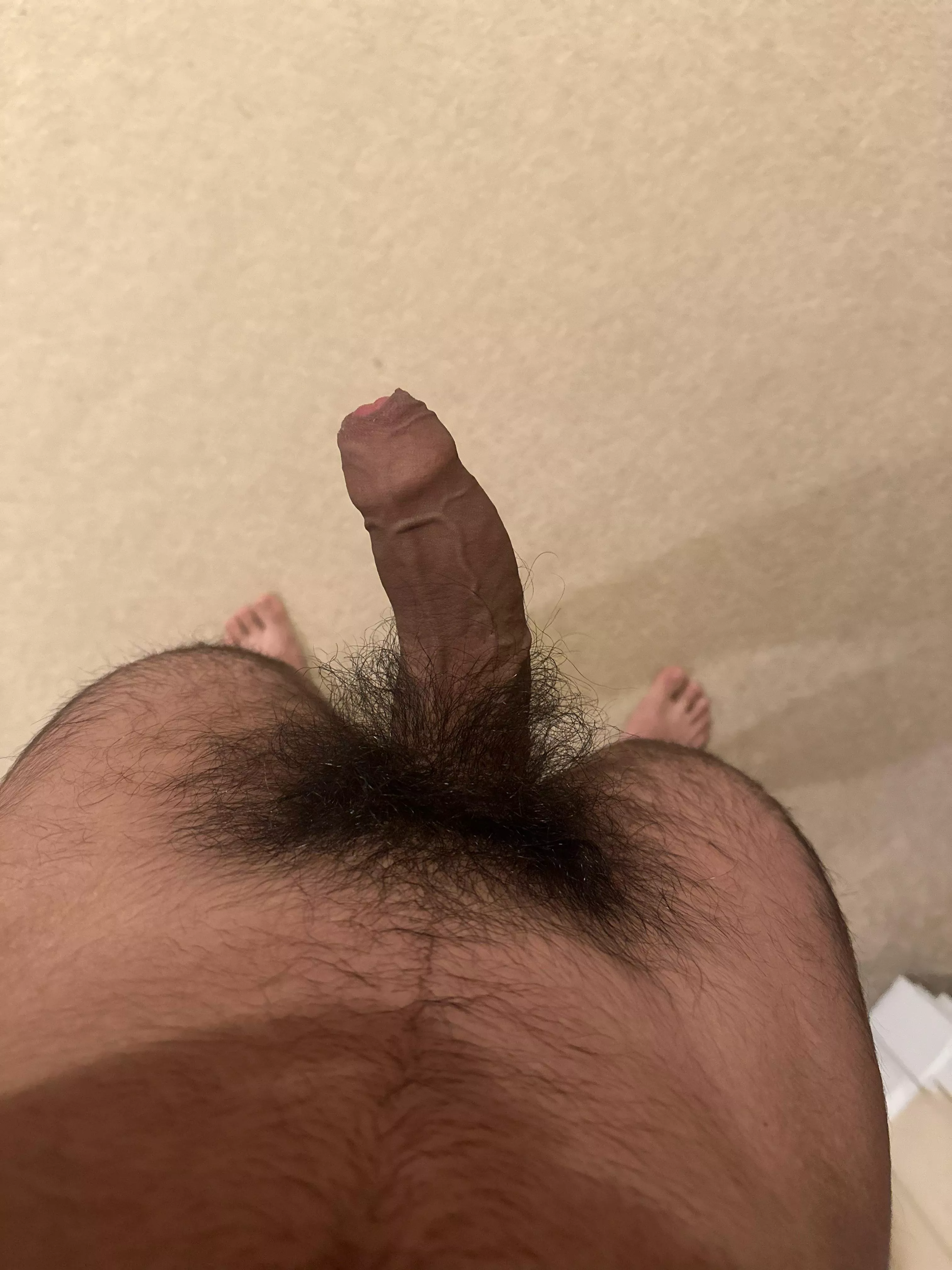 What should I do with my teen pubes(DMs open)