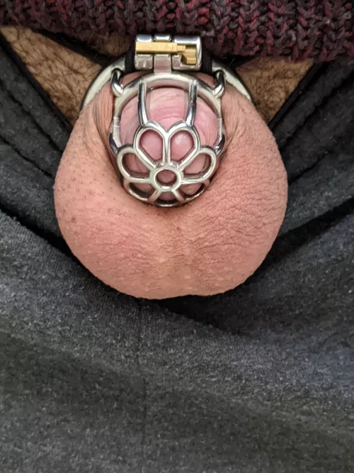 what should I write on my balls? they're getting kinda full.