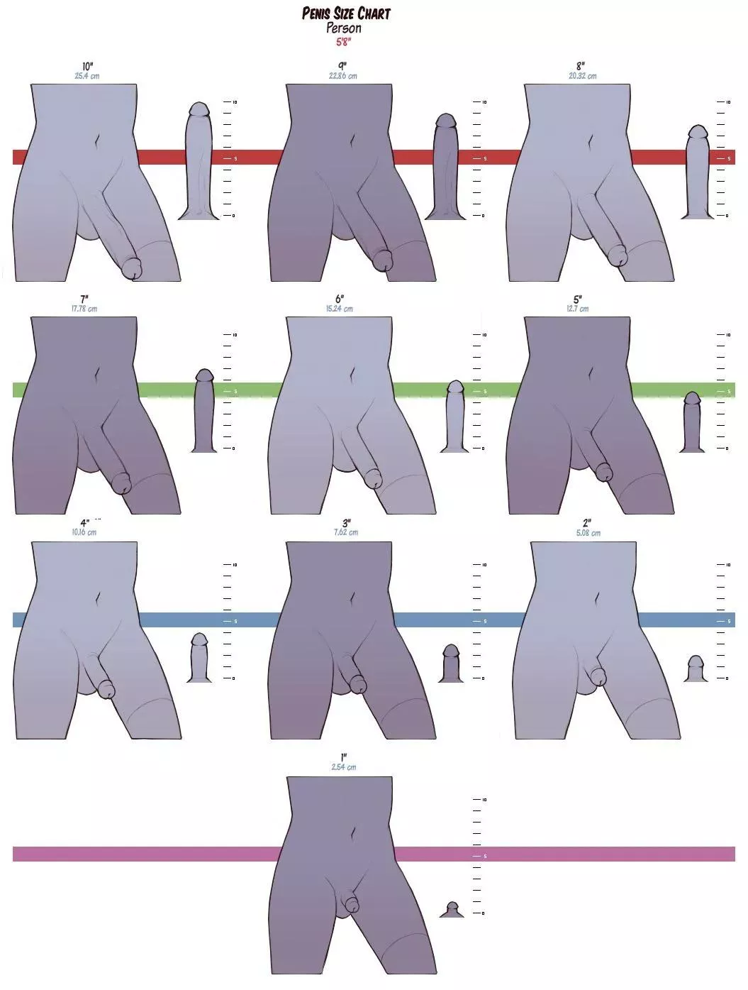 What size are you?