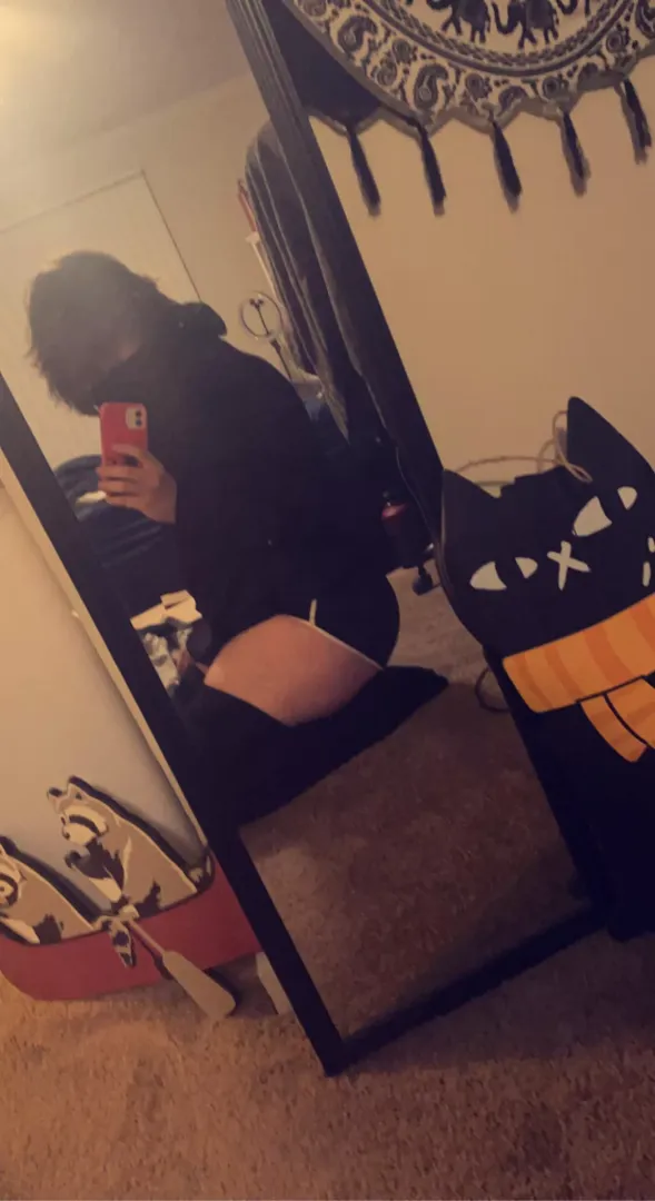 What the cat doin?