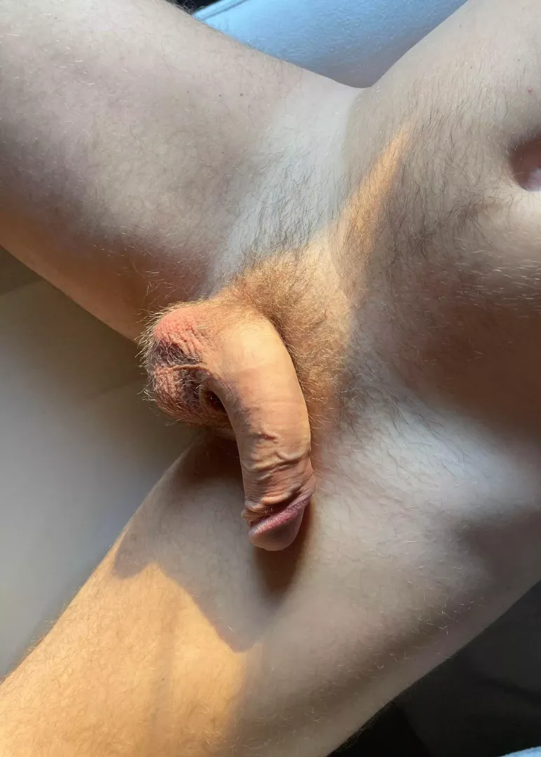 What would you do?