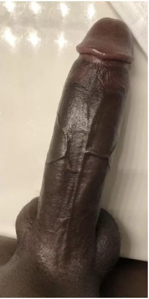 What would you do if I slapped you with my dick