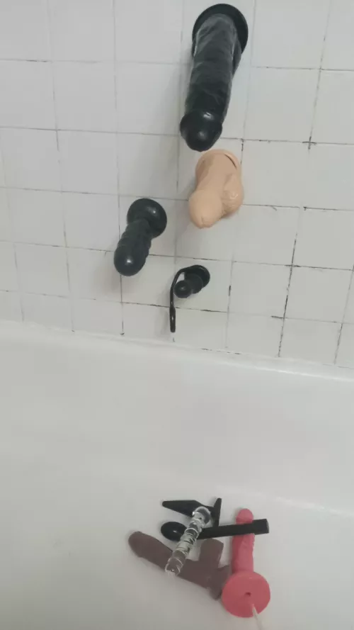What would you do if this is what you find in my shower?