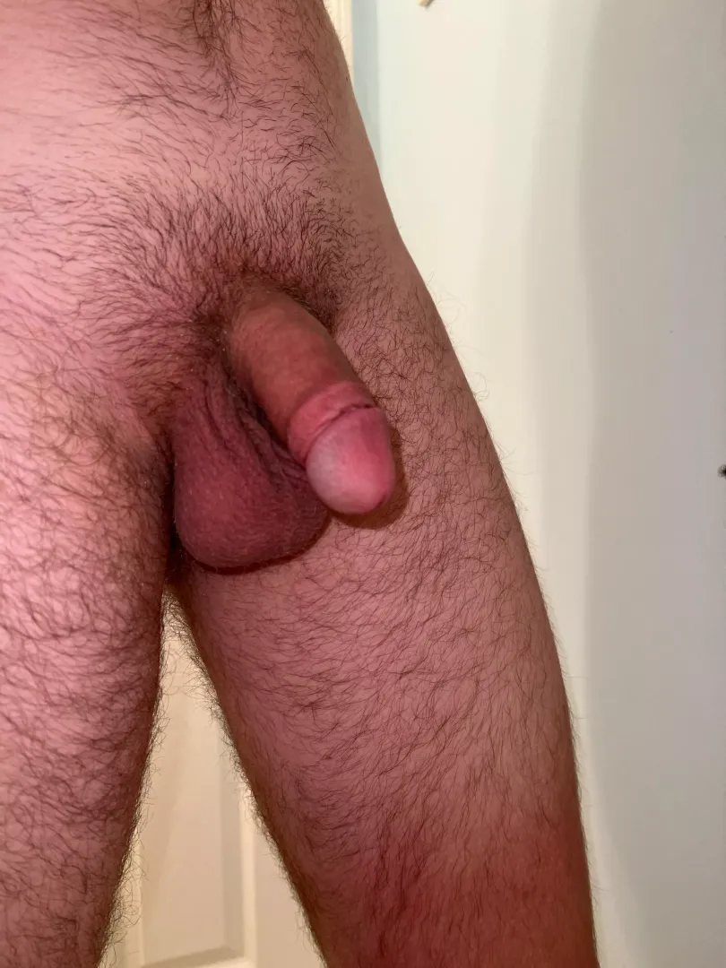 What would you do to make me hard?
