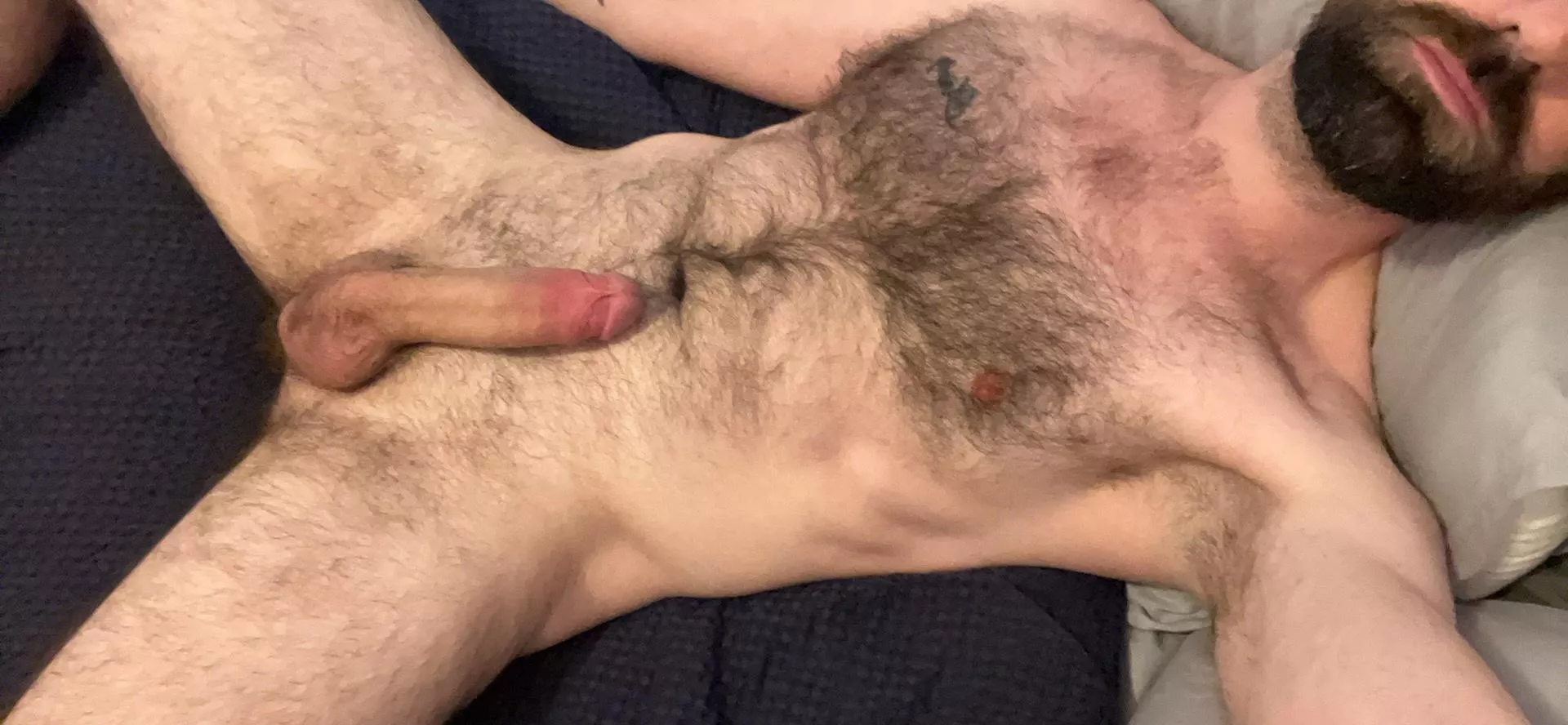 What would you like to stroke first?