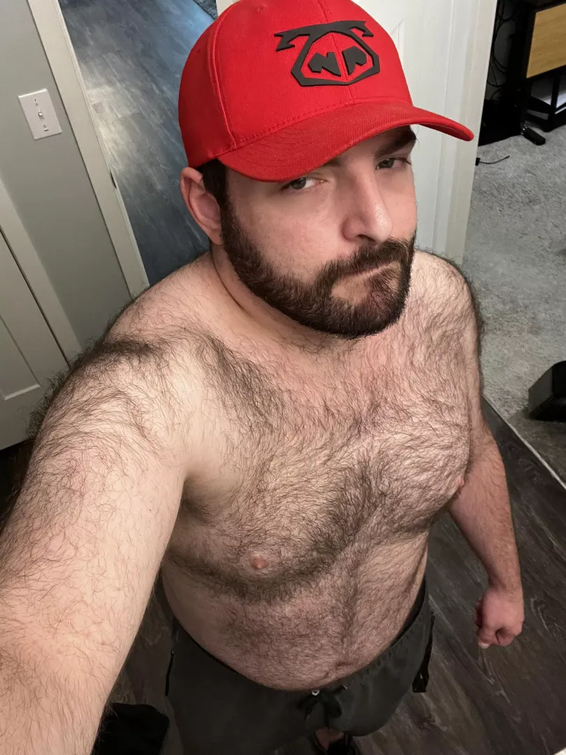 Whatcha guys think?