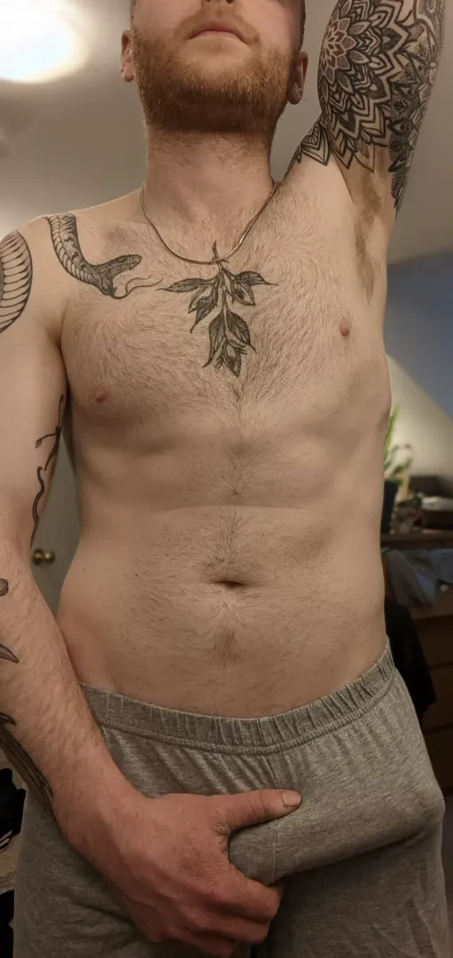 whatcha think about this outline?