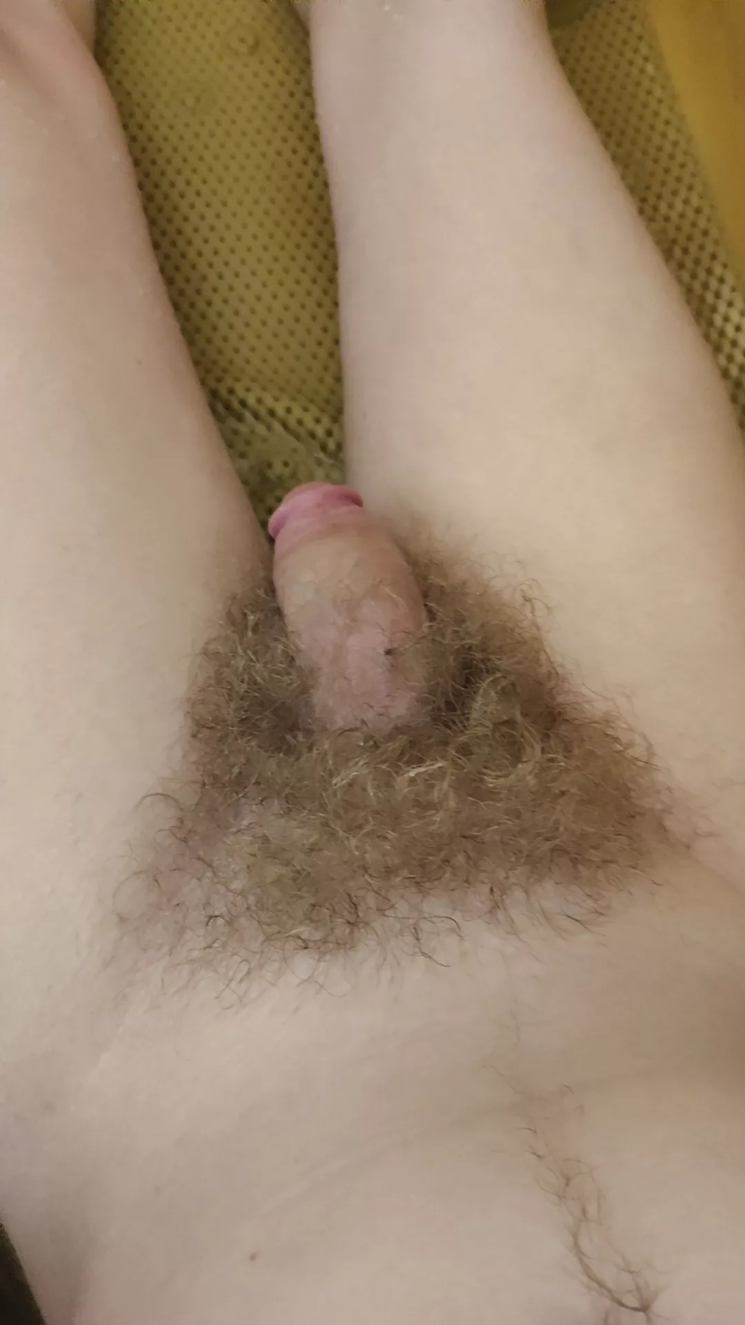Whatcha think of my bush?