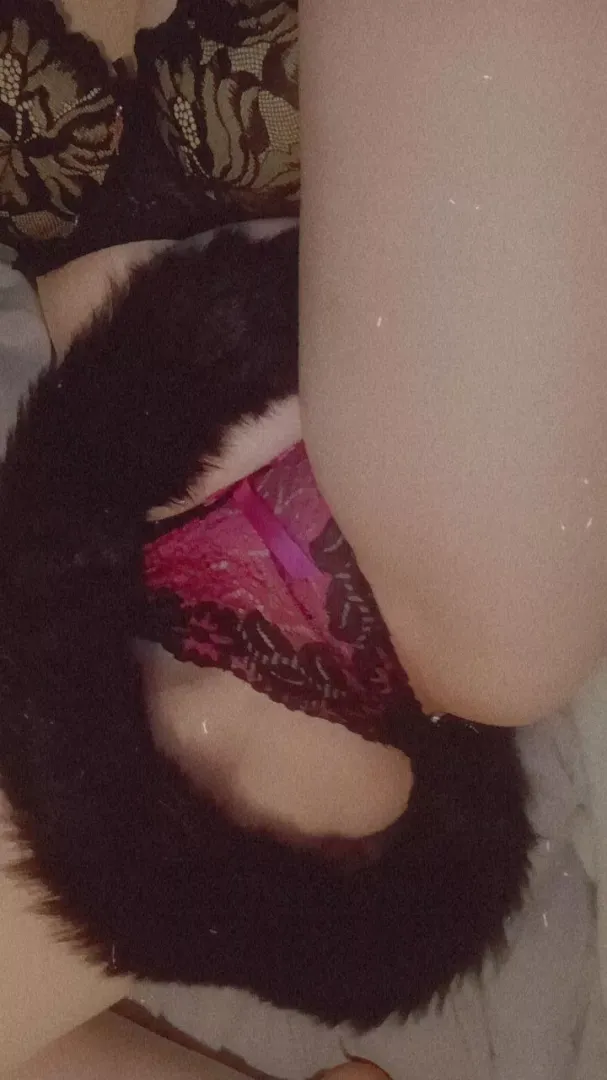 What's a kitty without a proper tail?🩷