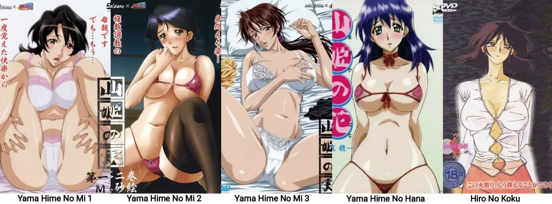 What's your favourite [Sanbun Kyoden] h-anime adaptation??