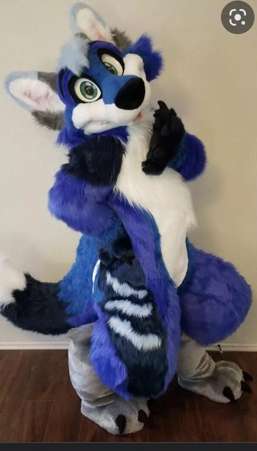Where can I get a fur suit similar to this one for a low price? Thanks in advance