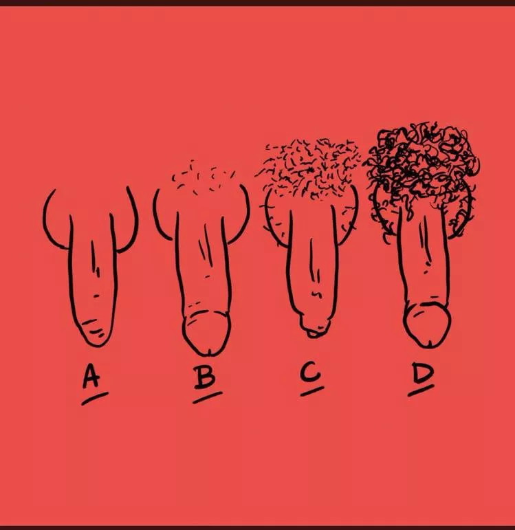 Where do you belong?