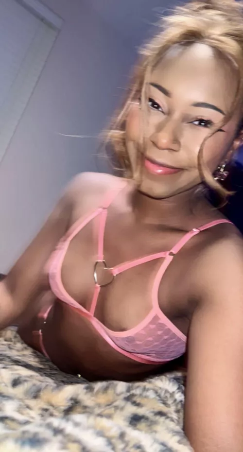 Where’s my dirty pervert send me porn of what our world should be together hurry up I want to cuck/cheat on you 22F