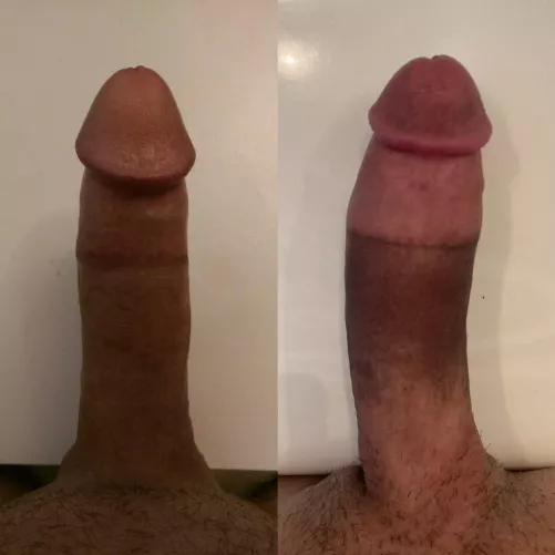 Which cock wins?