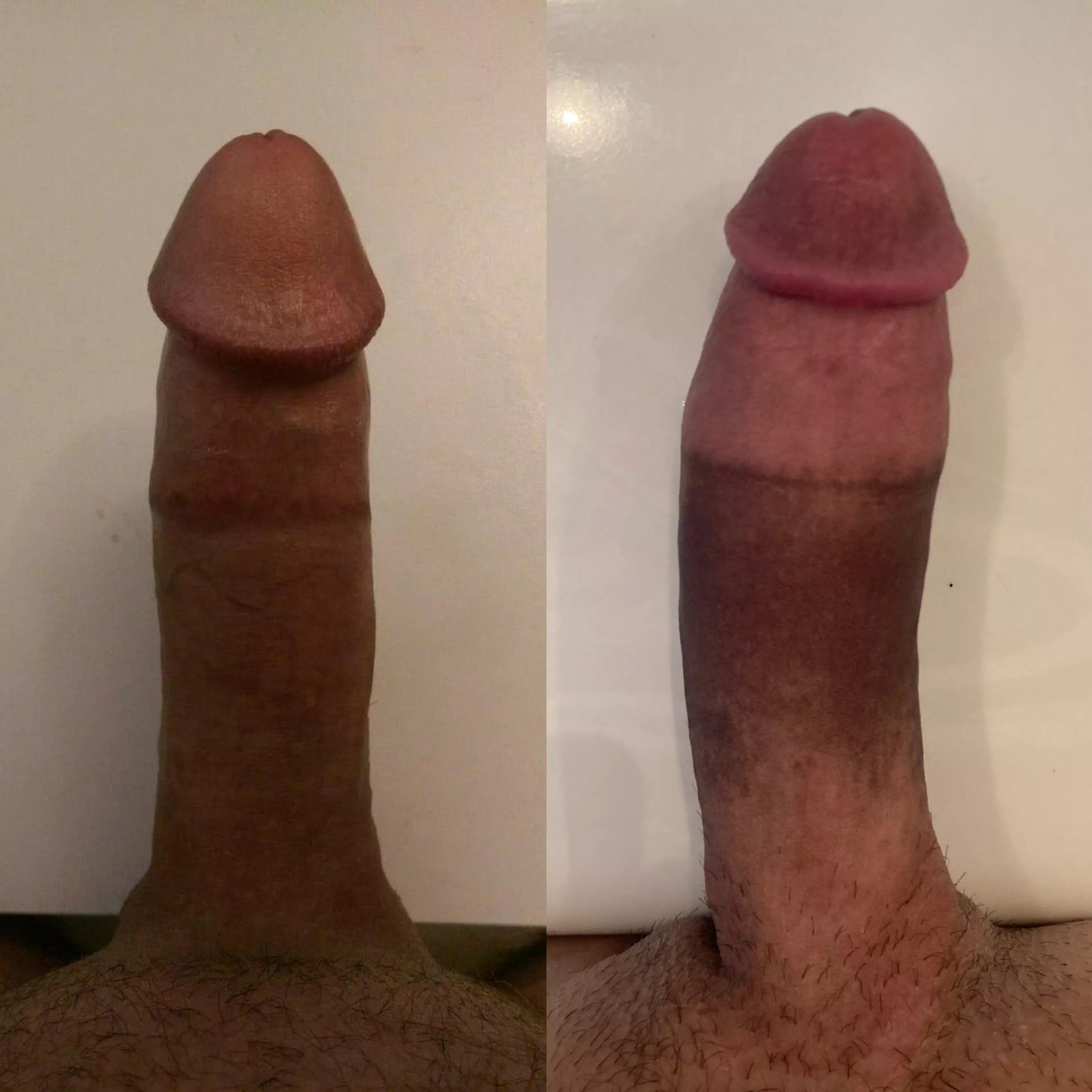 Which cock wins?