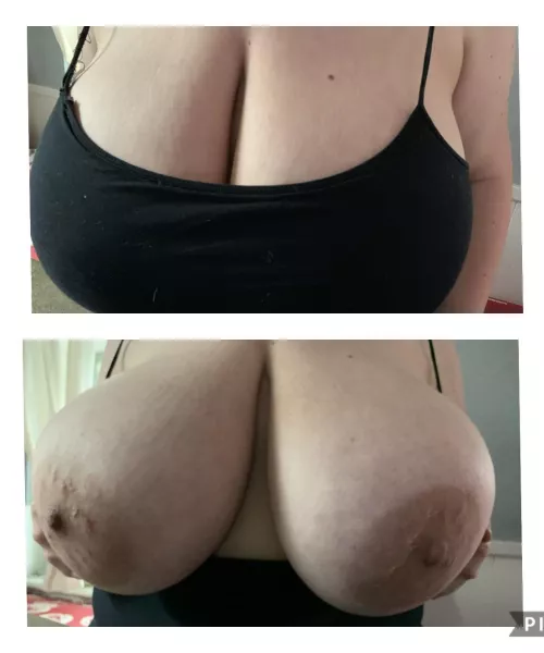 Which do you prefer