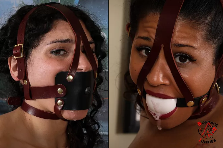 Which harness gag do you prefer, left or right? 🤔