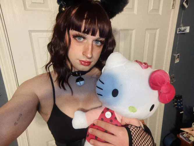 which kitty do you prefer