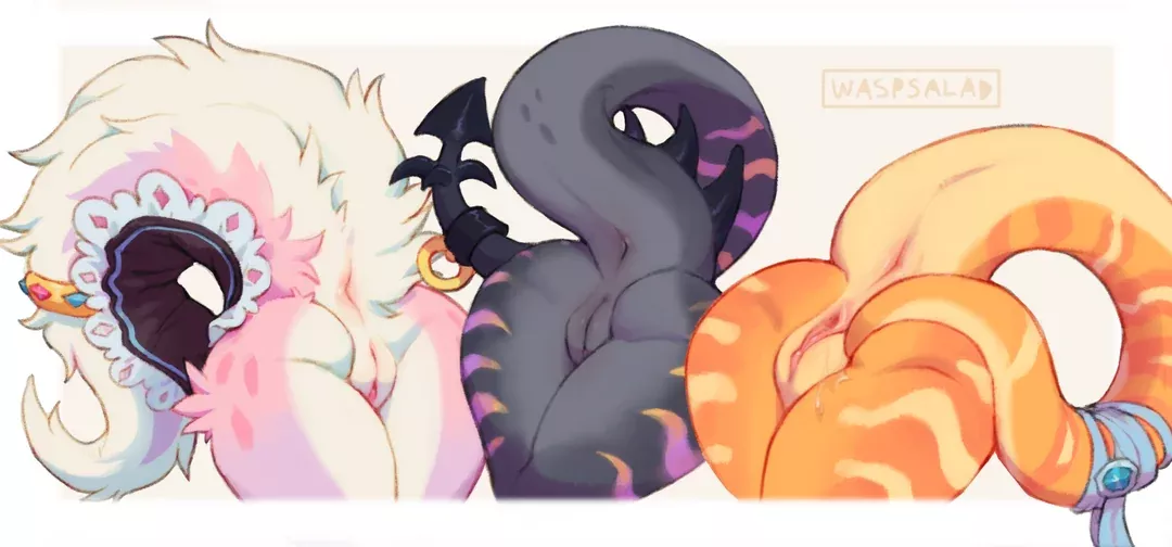 Which one would you Fuck?