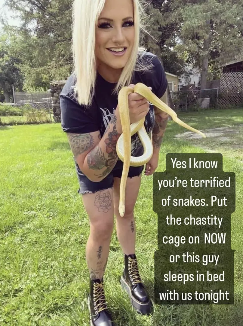 Which would you pick? 🐍 or 🔐