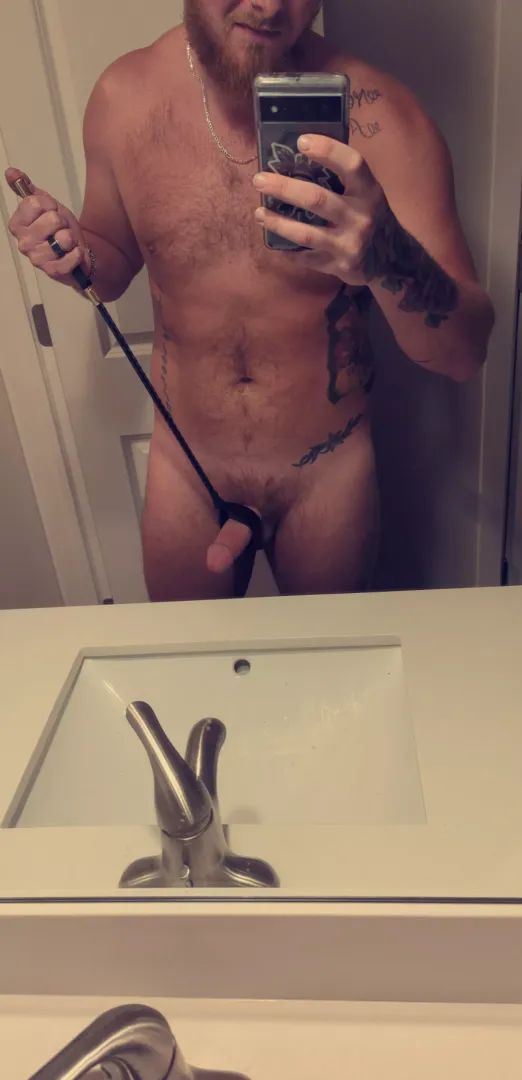 whip me hard!