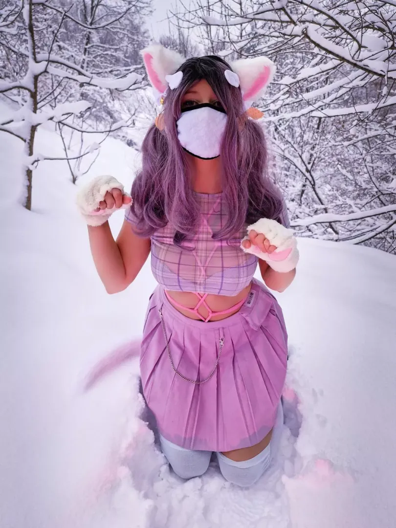 White snow kitty