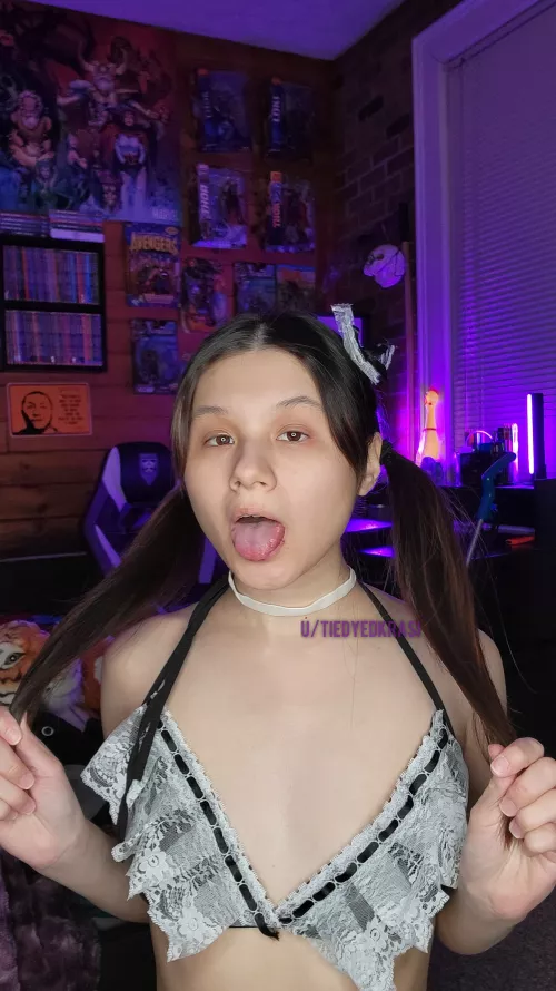 who hired a Chinese x Japanese maid?