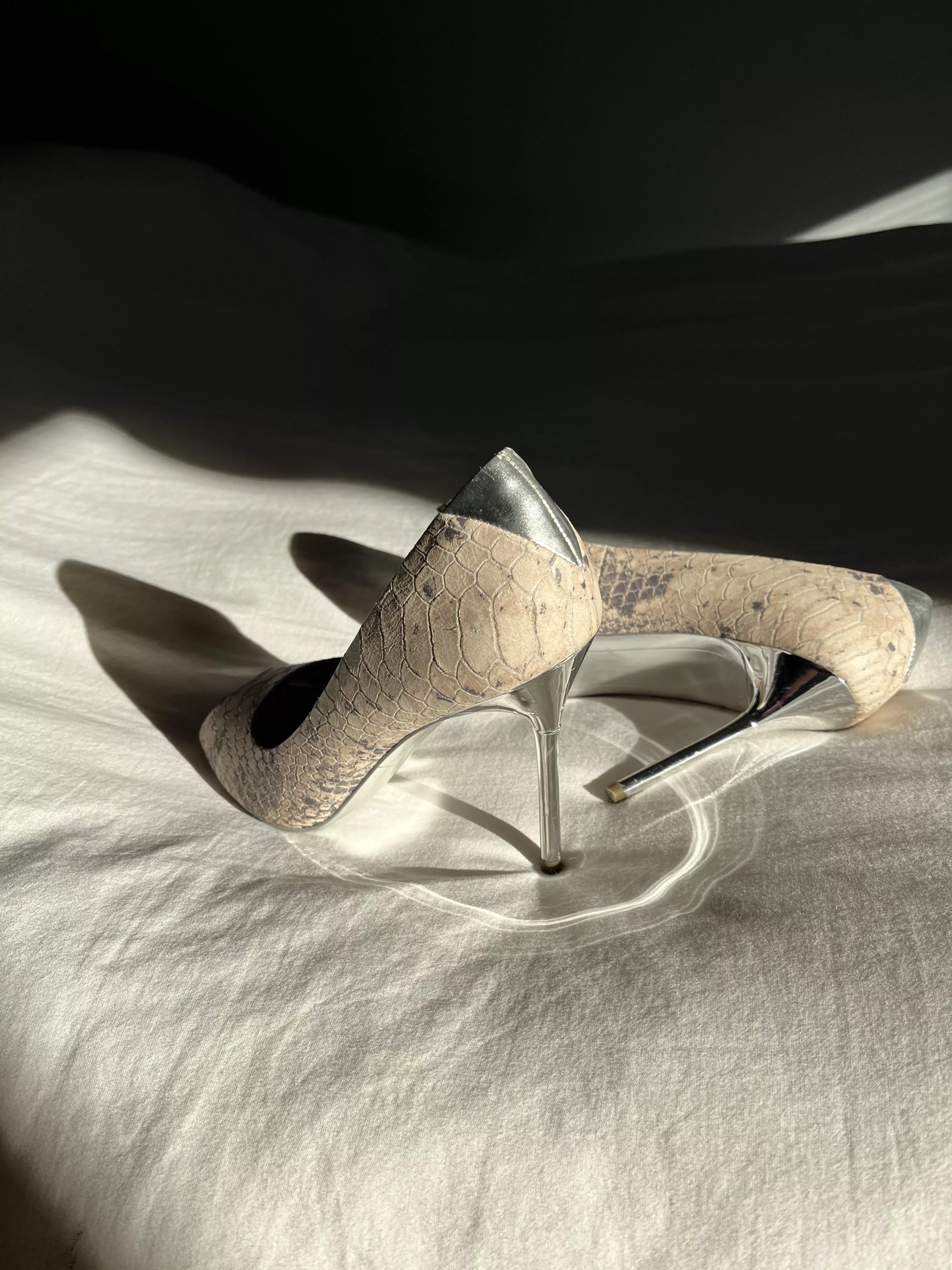 Who is a Sam Eddie fan? I love these do u!?