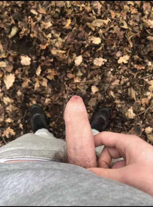 who likes a good exhibitionist cock