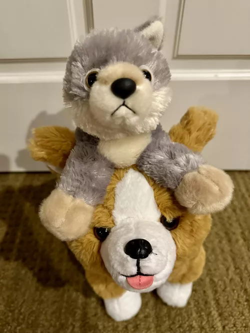 Who needs a daddy when you have stuffies?