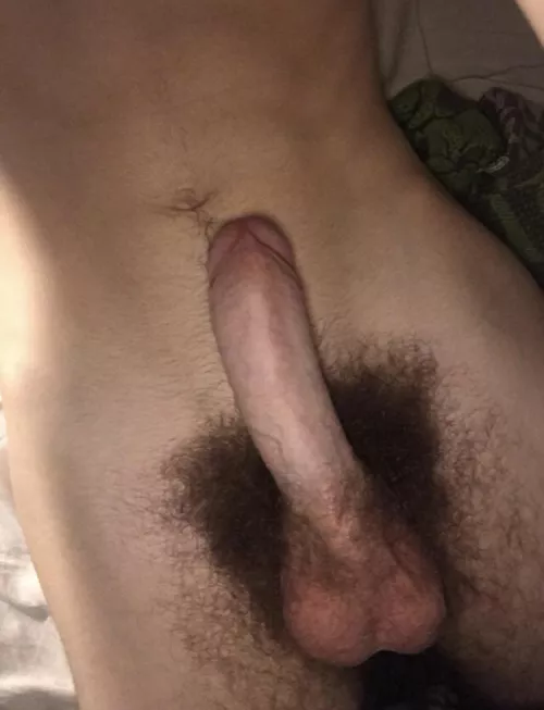 Who still likes bush?
