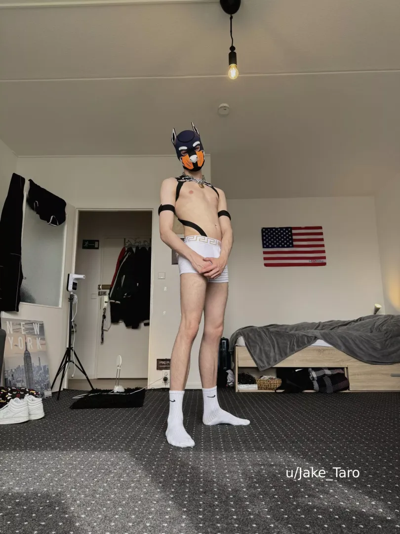 who wants some cuddles?