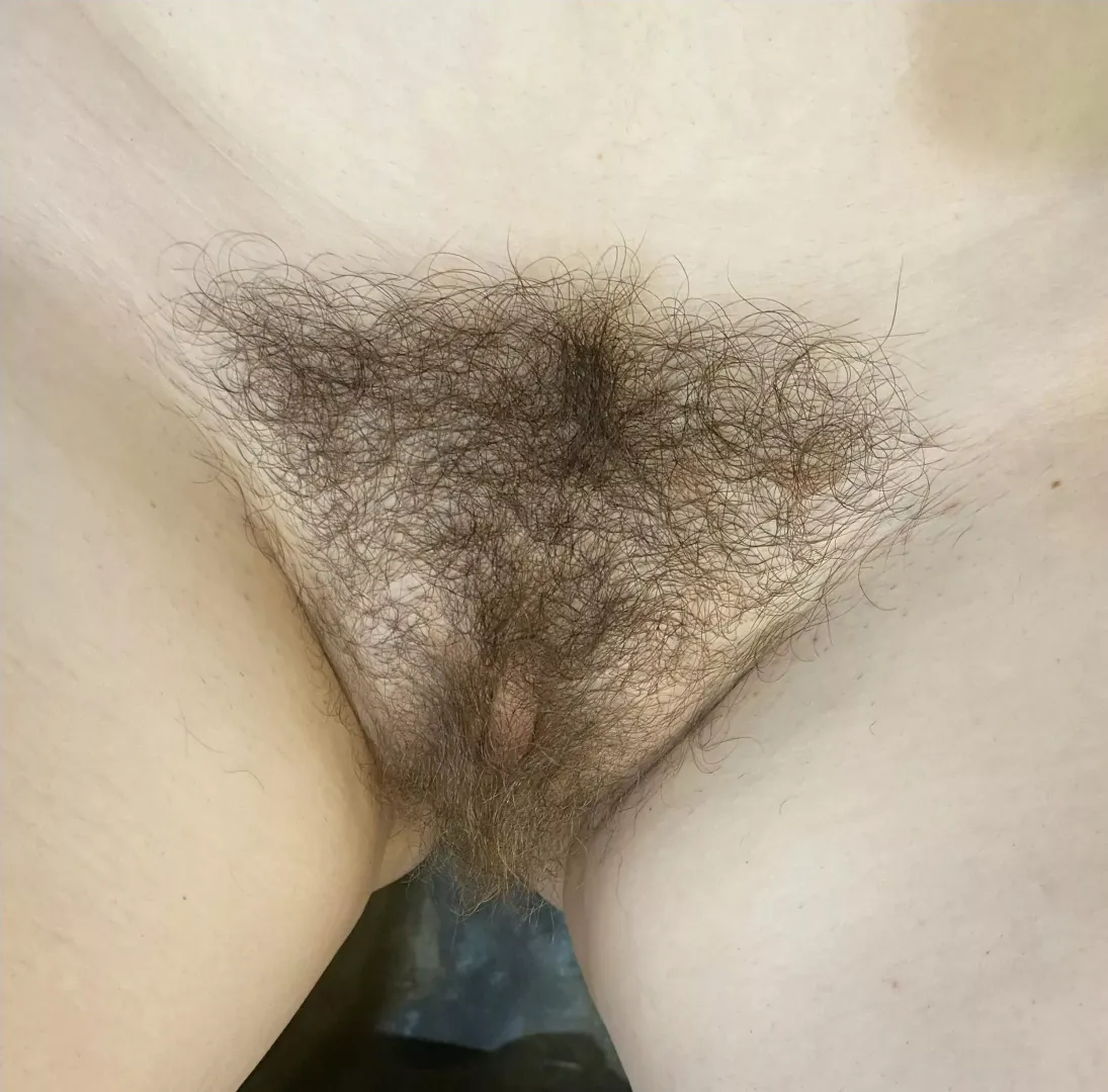 Who wants to creampie me?